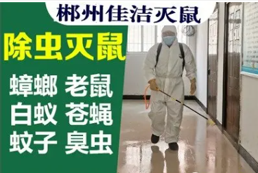 郴州佳洁灭鼠服务·郴州佳洁专业除四害除虫除蚁提供灭蚂蚁、除蟑螂、灭鼠服务‘杀虫消毒杀菌’