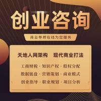 创业问题咨询商业模式设计公司经营项目指导分析企业营销策划方案